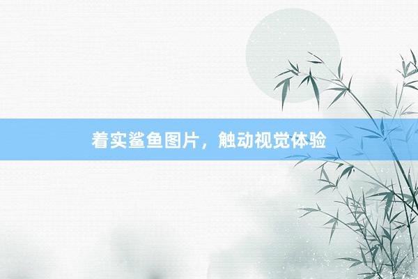 着实鲨鱼图片，触动视觉体验